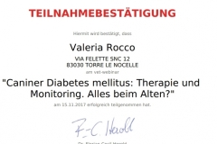 Il diabete nel cane