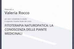 Fitoterapia naturopatica